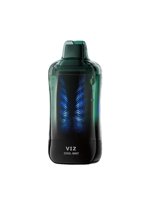 Cool Mint Lost Mary VIZ 55K Vape